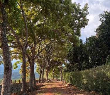 La Mesa Cama Y Desayuno | LOMA LINDA Hotel de Naturaleza