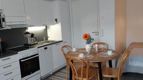 Sotkamo Apartamento | Lomayksiö C 3 Sotkamon keskustassa