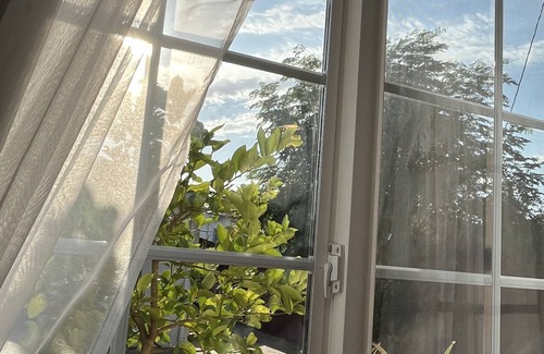 Harbor Cabaña | Long Beach Backyard Guesthouse
