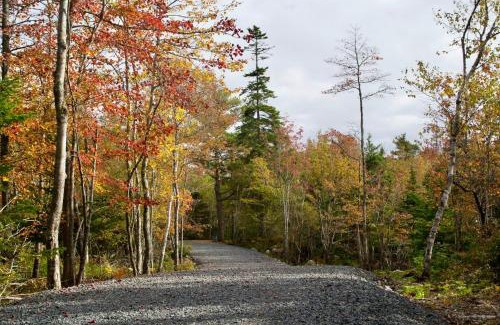 Halifax Casa | Long Lake Getaway - Quiet Accessible Suite with no Stairs/Steps