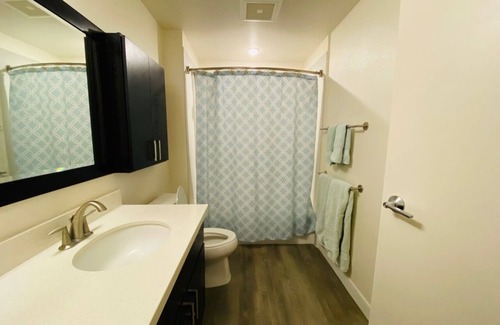 Downtown Honolulu Condominio | Long term rental in Kakaako