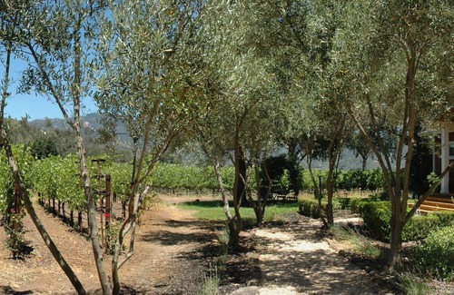 Calistoga Casa | Viñedo, piscina y finca remodelada. Ubicacion conveniente. Alquiler a largo plazo