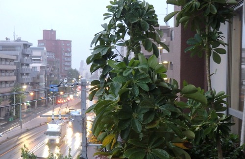 Suginami Apartamento | Estancia a largo plazo en Cycle House Ogikubo