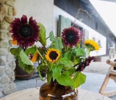 Nykvarn Cama Y Desayuno | Long Valley Ranch & Lodge