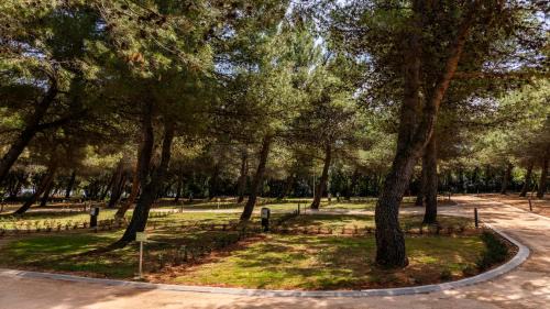 Nerezine Otro | Lopari Camping Resort