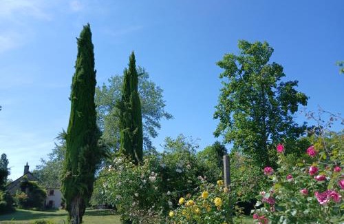 Le Veurdre Cama Y Desayuno | Lorette
