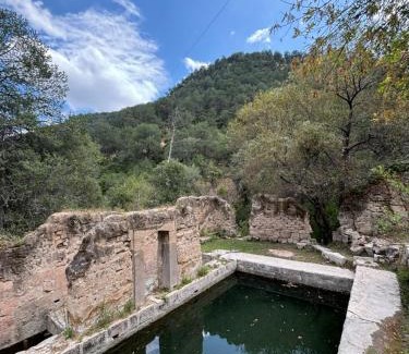 Jerez de Garcia Salinas Casa | Los Cardos Adventure Park