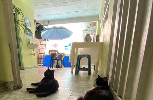 Villavicencio Casa | Los de A Pie Hospedaje