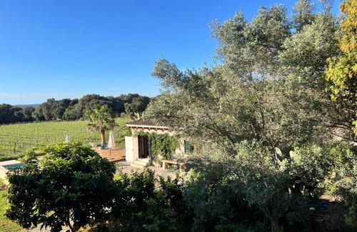 Inca Chalet De Esquí | Los Dos Caballeros Winery & Vacation Rental