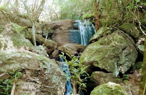 Obera Complejo | Los Lapachos. La naturaleza es acá