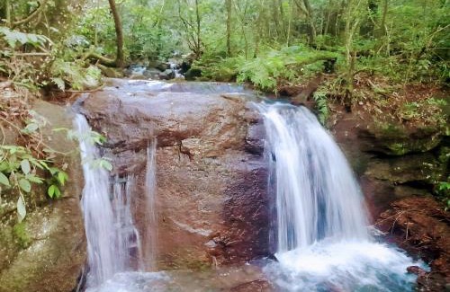Obera Complejo | Los Lapachos. La naturaleza es acá