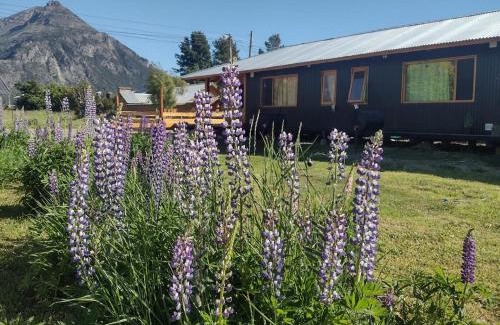 El Hoyo Casa | Los Lupinos