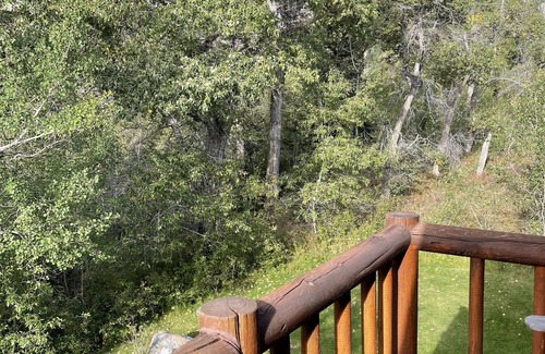 North Meadow Creek Cabina | La cabaña del oso pardo