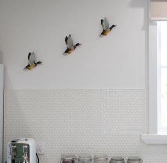 West Launceston Casa | Lotti's Cottage, West Launceston