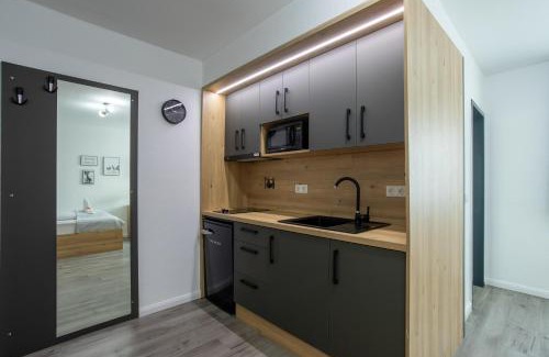 Rosbach vor der Hoehe Apartamento | Louis Apartments