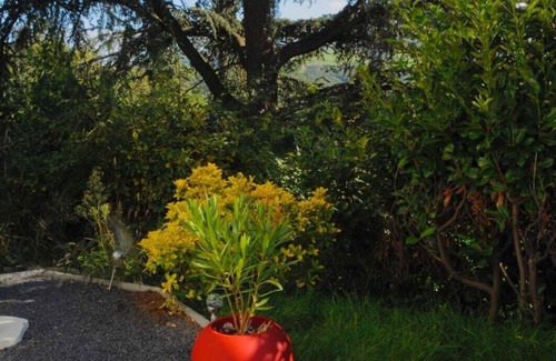 Rive-de-Gier Casa | Love room le belka