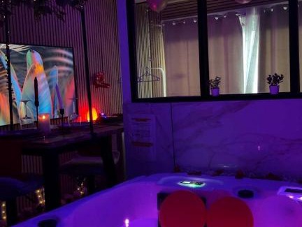 Plessis Tison Apartamento | Love room nantais
