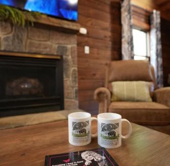 Sevierville Chalet De Esquí | Love Shack