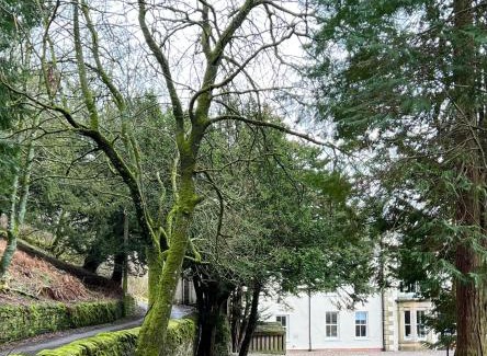 Alston Casa | Lovelady Shield House