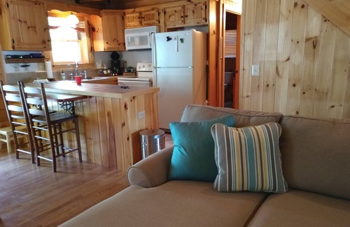 Fancy Gap Cabina | Lovely 2+bedroom Cabin in Fancy Gap, Coffey Grounds - Blue Ridge Parkway