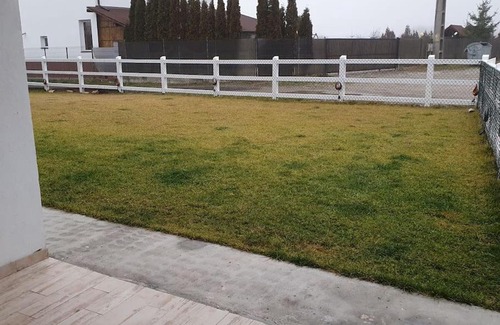 Albestii Paminteni Casa | Lovely and Cozy House Apartment with a nice yard