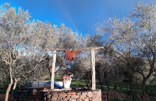 Dorgali Apartamento | Lovely apartment in the middle of the green farm( 8)