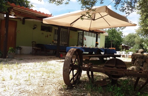 Dorgali Apartamento | Lovely apartment in the middle of the green farm( 8)