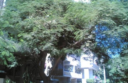 Al Duqqi Apartamento | Lovely Fully Equipped 1BR Flat in Best Location.