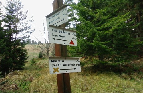 Hohrodberg Apartamento | apartamento amueblado encantador en una enorme casa Vosges