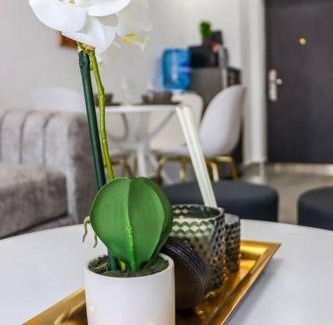 Kilimani Apartamento | Lovely furnished cozy 2Bed/Room