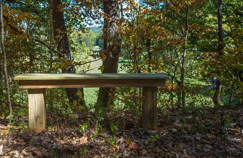 Rockbridge Baths Casa | Lovely Gardens with lots of solitude. Inground pool. Minutes to Lexington VA.