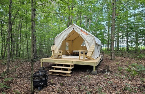 Deer Lodge Alquiler De RV | Lovely glamping site off the beaten path in a beautiful wooded setting.