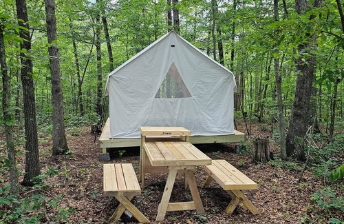 Deer Lodge Alquiler De RV | Lovely glamping site off the beaten path in a beautiful wooded setting.