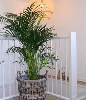 Faaborg Apartamento | Lovely home at the foot of the Funen Alps