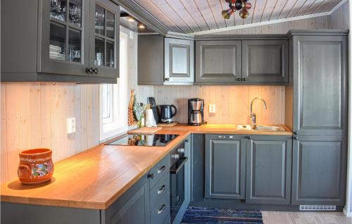 Ringsaker Casa | Lovely Home In Sjusjøen With Kitchen