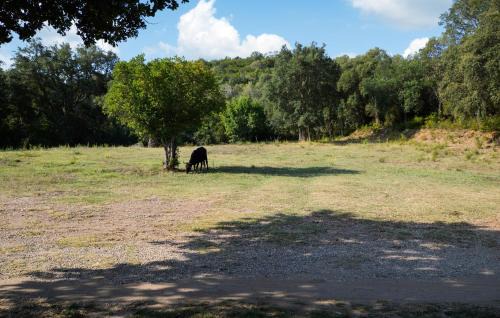 Casamozza Casa | Lovely Home In Vignale With Wifi