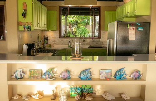 Black Rock Villa | Lovely Luciana with Windows for Walls & Open Plan Living
