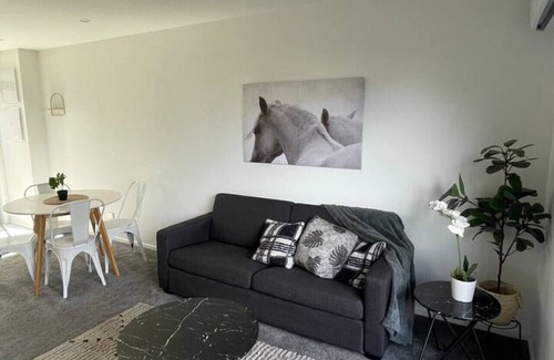 Upper Riccarton Casa | Lovely Mohua Sanctuary
