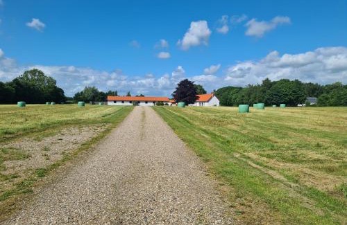 Rask Mølle Apartamento | Lovely room, easy access to E45 highway