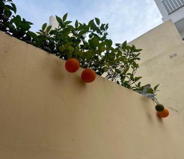 Tal-Ghoqod Casa | Lovely room, in shared house perfect location