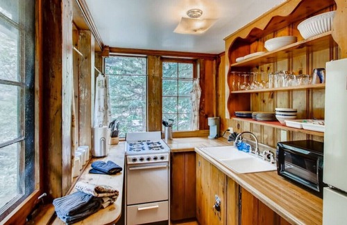 Idaho Springs Cabina | Lovely Rustic Creekside Cabin - Right on the Water & Pet Friendly!