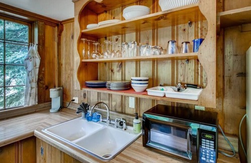 Idaho Springs Cabina | Lovely Rustic Creekside Cabin - Right on the Water & Pet Friendly!