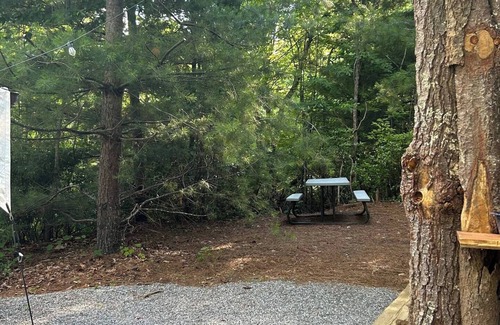 Waynesville Alquiler De RV | Lover’s Lookout is a treetop retreat /perfect for a romantic escape.