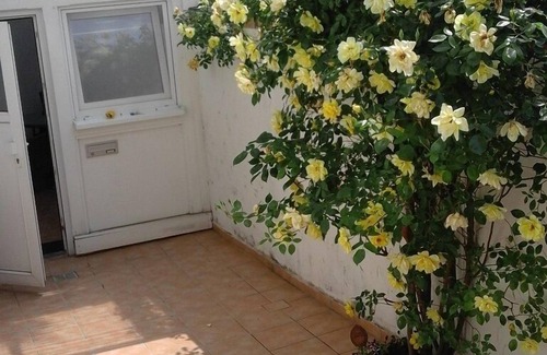 Mittelheim Apartamento | Apartamento de 70 m2 amueblado con gusto para 2-4 personas en Oestrich-Winkel
