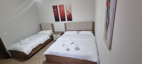Berat Apartamento | Luis Penthouse