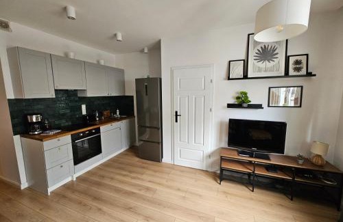 Gorzow Wielkopolski Apartamento | Luksus w centrum miasta-6 osobowy apartament w kamienicy