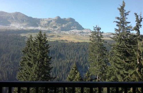 Flaine Apartamento | Lumineux 2 Pièces avec Cabine à Flaine Forêt · Balcon Sud · Parking Couvert · Proche Pistes - FR-1-425-149