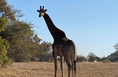 Leeupoort Villa | Luna Crescente 19 and 19A Zebula golf and spa resort 14 Pax Bela Bela Limpopo