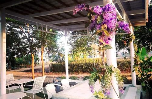 Pong Ta Long Casa | Luna Rose ลาลูน่าวินเทจโฮมเขาใหญ่