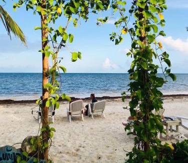 Mahahual Cabina | Lunazul Eco-Cabaña Frente al Mar